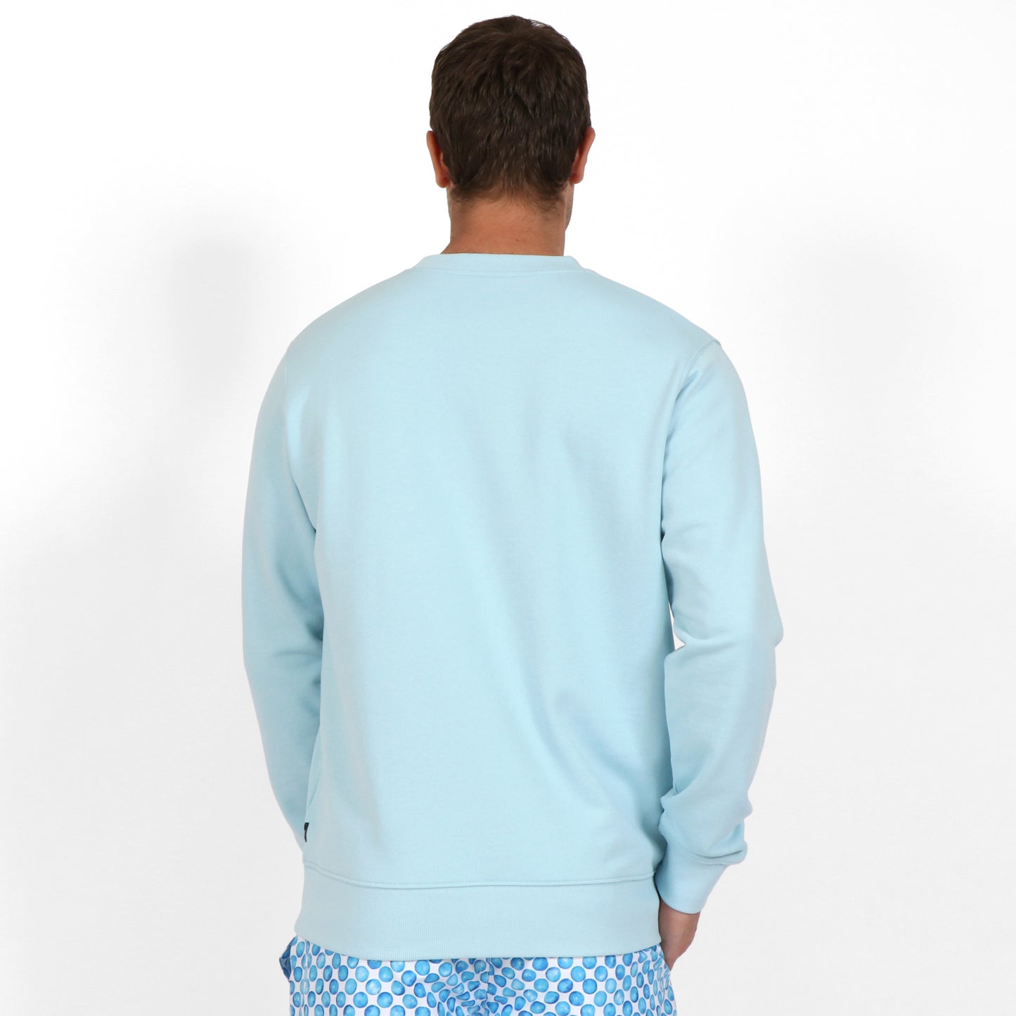 OWLW2301 ARCTIC BLUE MEN'S ORGANIC COTTON SWEATSHIRT ON BODY BACK VIEW