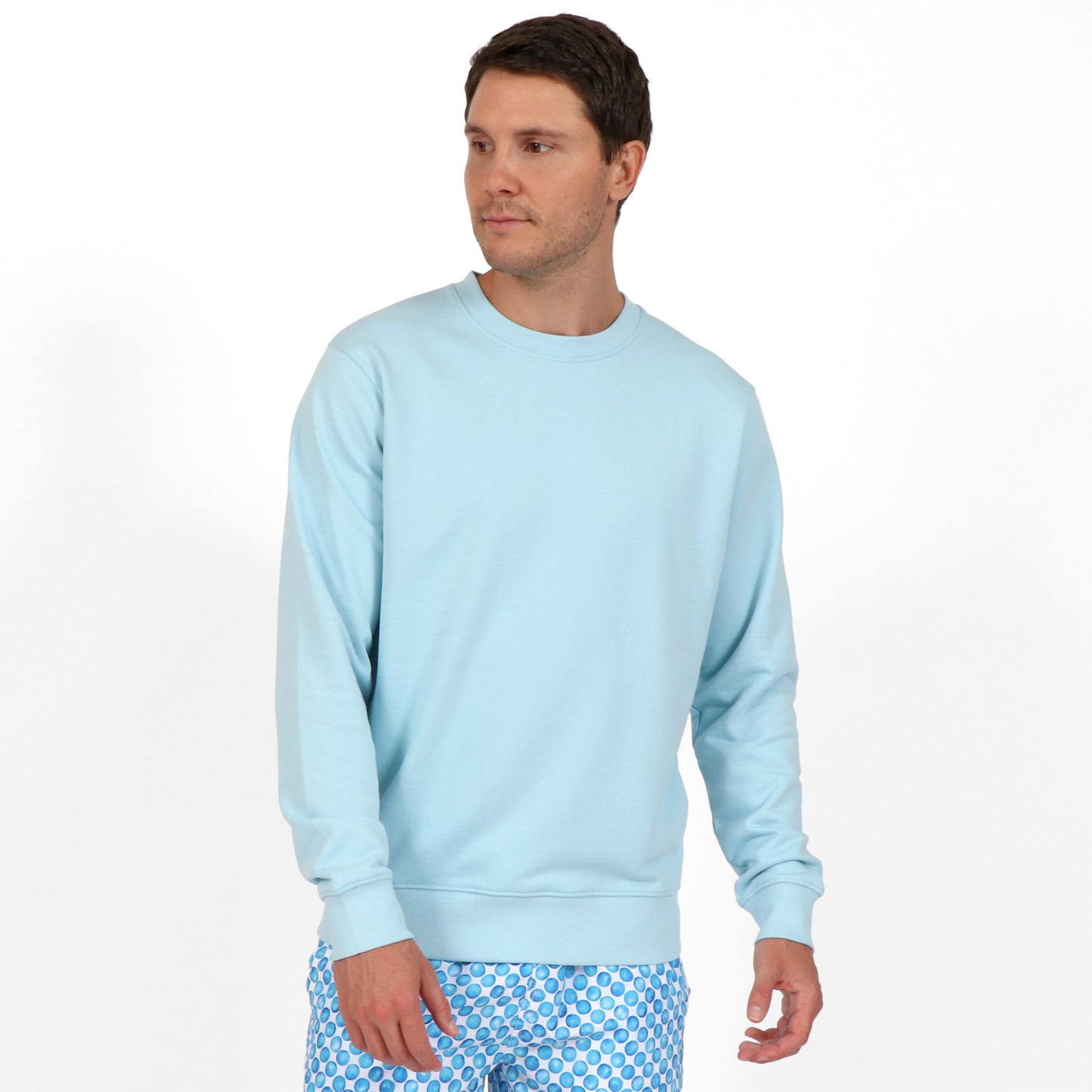 OWLW2301 ARCTIC BLUE MEN'S ORGANIC COTTON SWEATSHIRT ON BODY FRONT