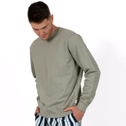 Sage Green Neutral Men's Organic Cotton Sweatshirt on model
