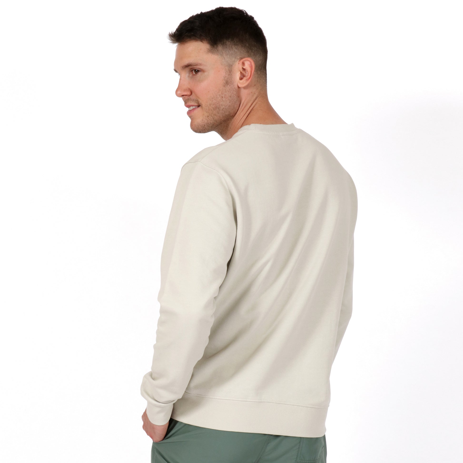 Sandstone Neutral Men's Organic Cotton Sweatshirt Back on model