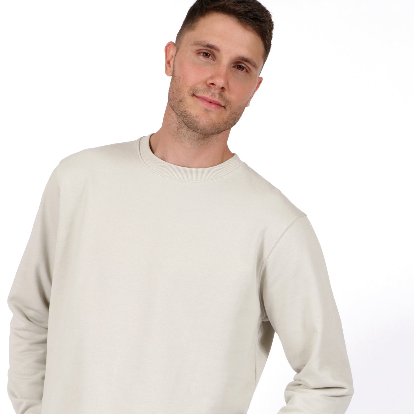 Sandstone Neutral Men's Organic Cotton Sweatshirt Crew Neck