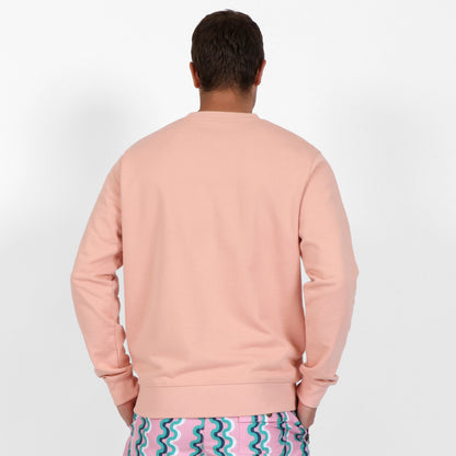 OWLW2301 MUTED CORAL MEN'S ORGANIC COTTON SWEATSHIRT ON BODY BACK VIEW